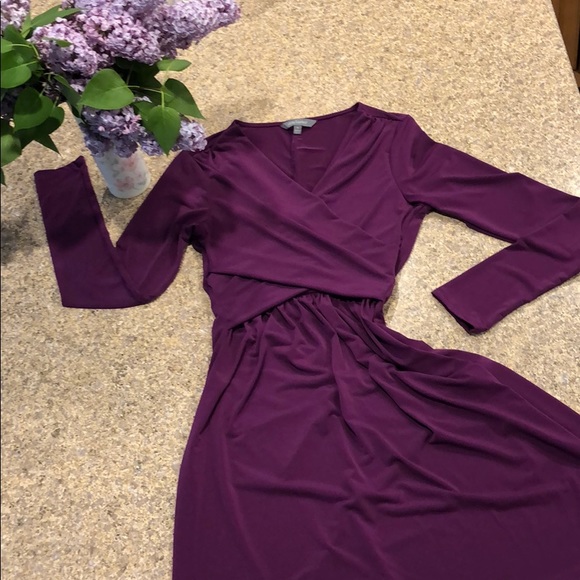 Daisy Fuentes Dresses & Skirts - Daisy Fuentes Purple / Magenta Long Sleeve Dress